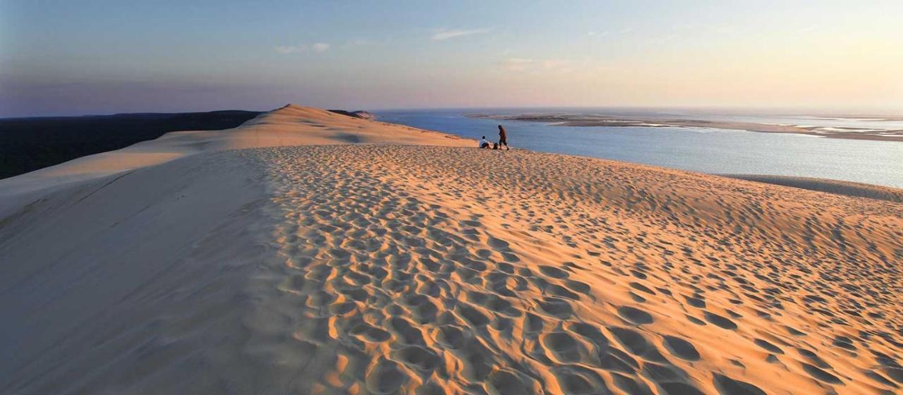 Maisons De Vacances Proche Bordeaux Gites D'Ici Et D'Ailleurs 6 Et 4 Personnes Dependances Dans Propriete Saint-Morillon Ngoại thất bức ảnh