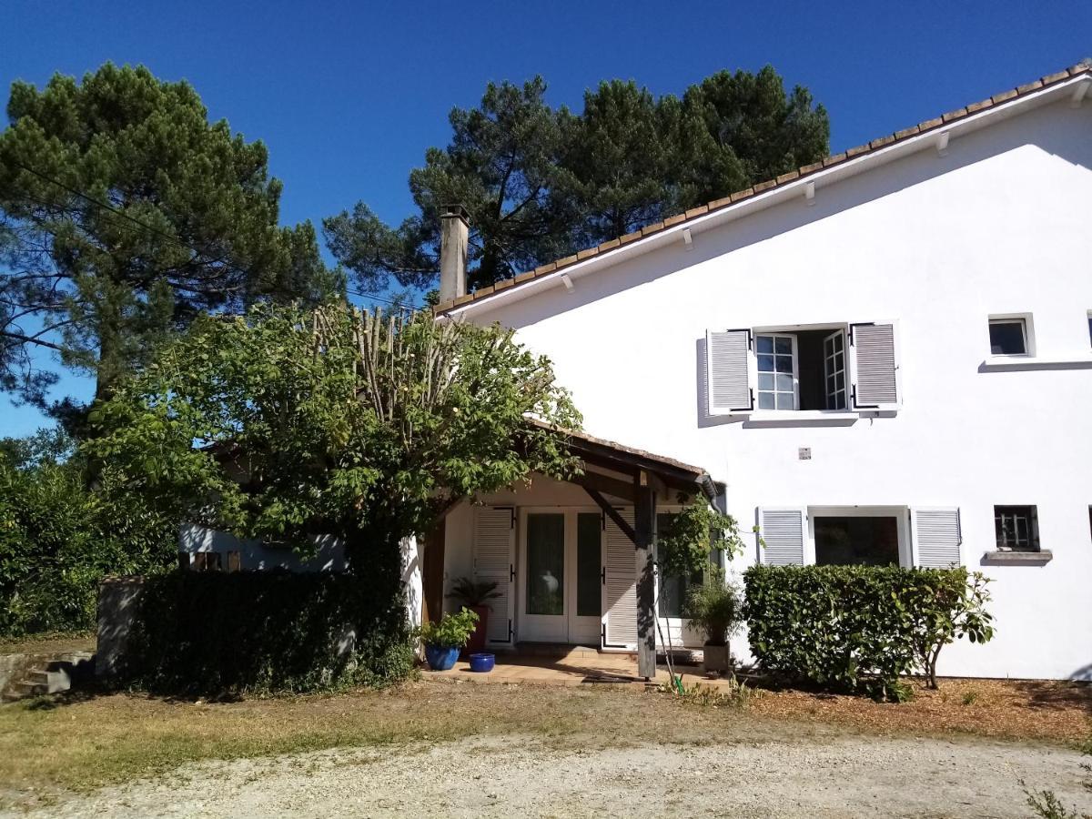 Maisons De Vacances Proche Bordeaux Gites D'Ici Et D'Ailleurs 6 Et 4 Personnes Dependances Dans Propriete Saint-Morillon Ngoại thất bức ảnh